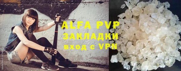 дмт Алексин