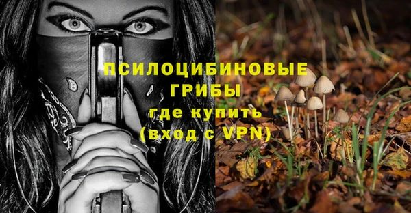 Альфа ПВП Алзамай