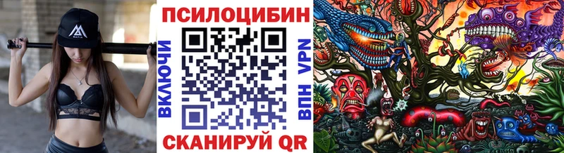 Псилоцибиновые грибы Magic Shrooms Дзержинский